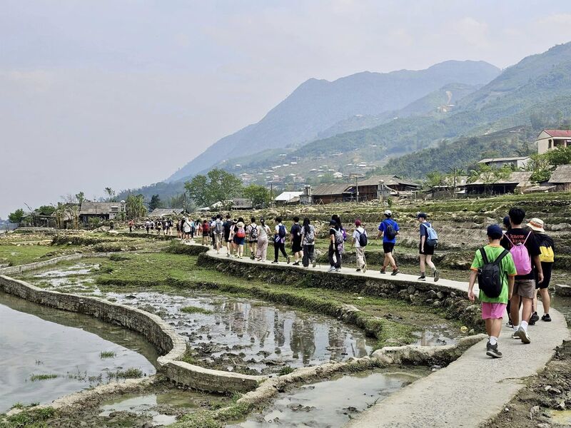 The trip to Sapa was filled with stunning trekking routes through the local rice fields and mountains. 
