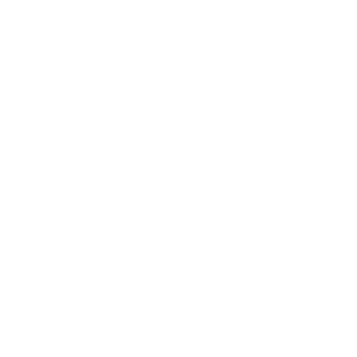 Prepares Future-Ready Pupils